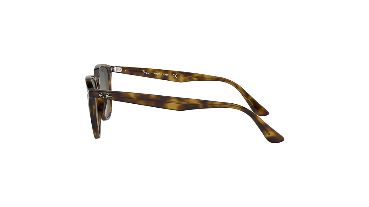 RB4259 Sunglasses in Beige and Brown Gradient Dark Brown - RB4259 | Ray-Ban®  US