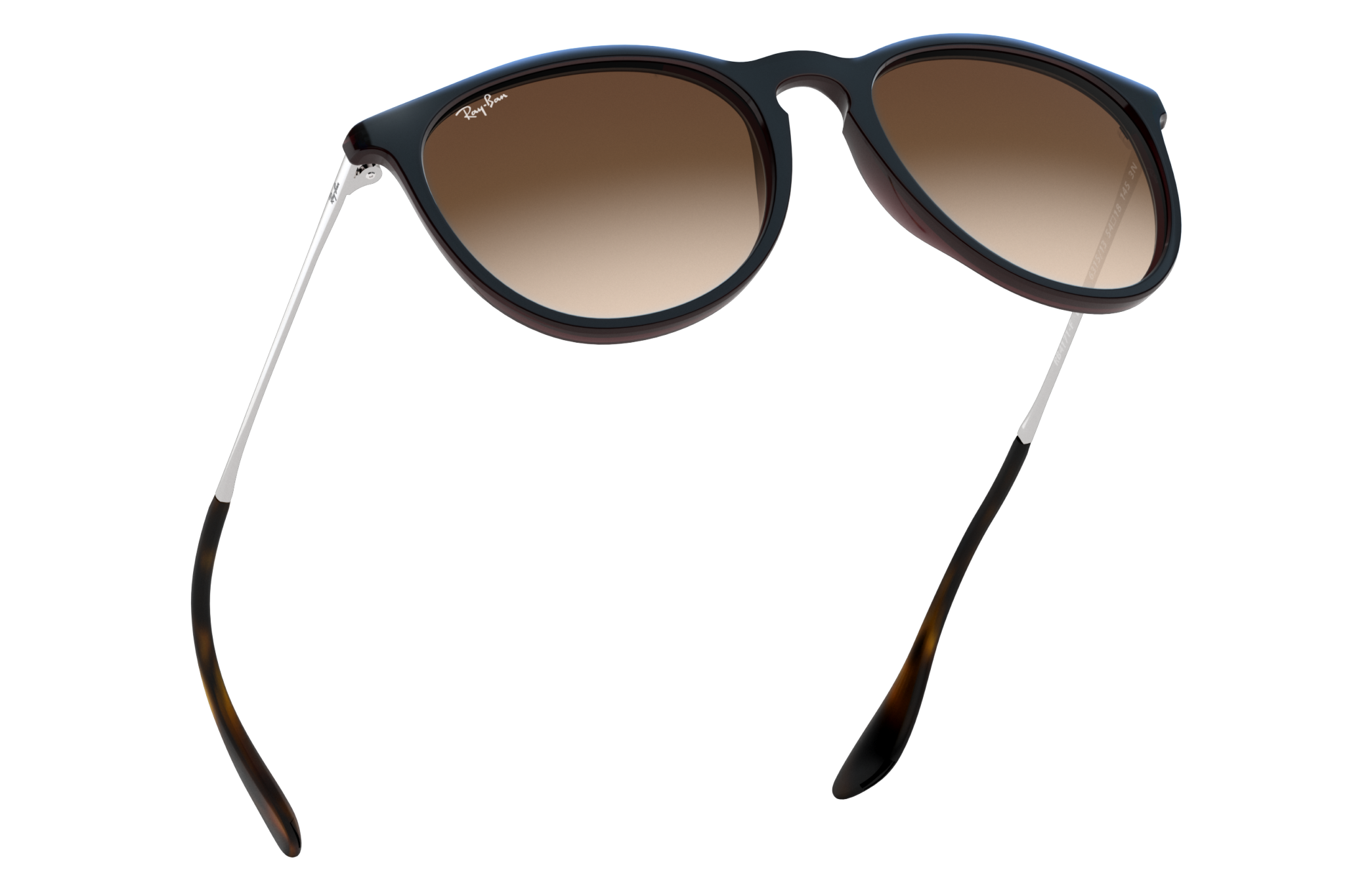 erika ray ban mens