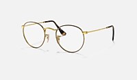 RayBan Havana On Gold; Gold null