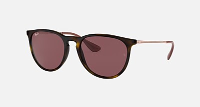 ERIKA COLOR MIX Sunglasses in Transparent Brown and Brown