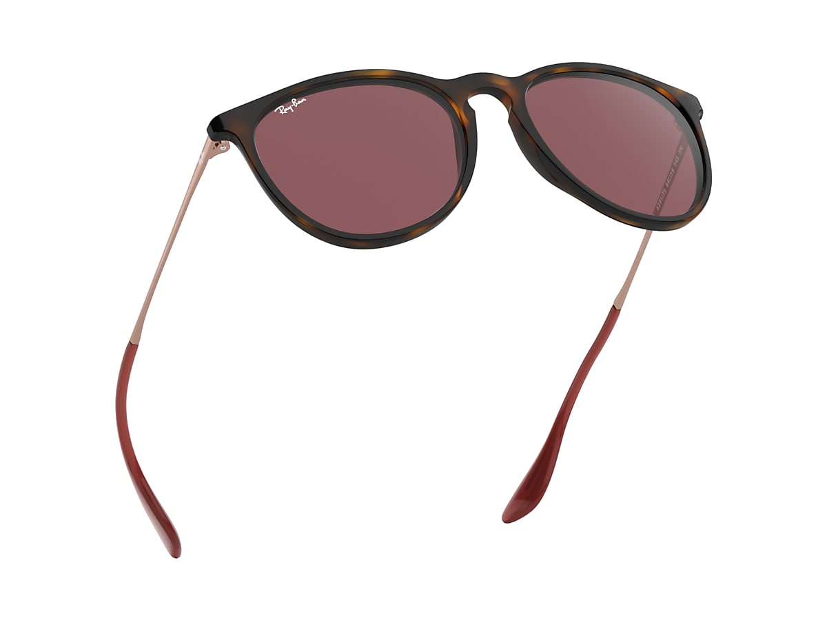 ERIKA COLOR MIX Sunglasses in Havana and Dark Violet