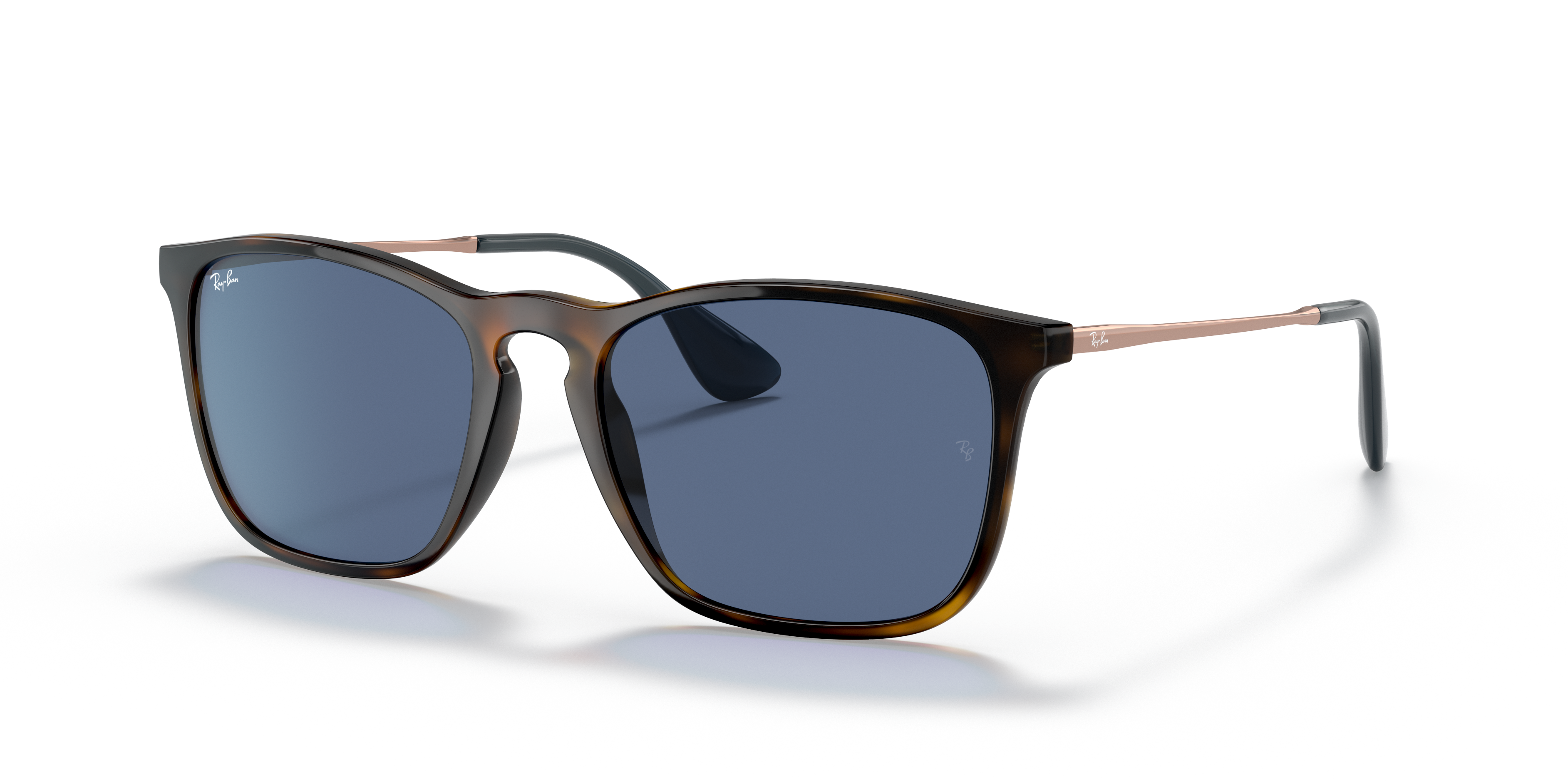 ray ban tortoise and blue