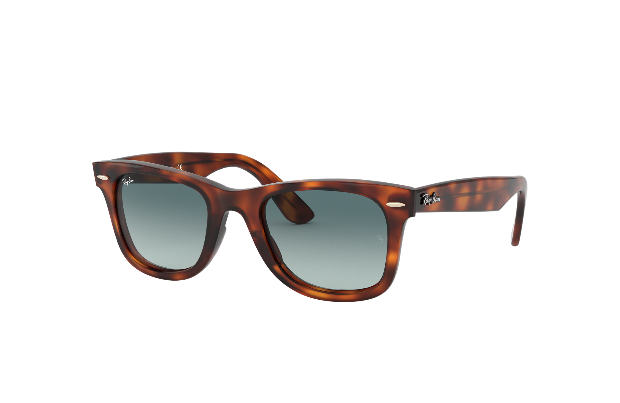 wayfarer ease tortoise