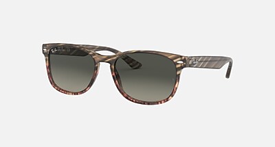 レイバン公式ストア】 Ray-Ban® RB4258 サングラス | ブラック X