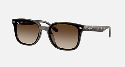 RB4461D Sunglasses in Black and Dark Green (64-17) - RB4461D | Ray