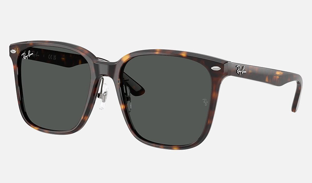 極美品☆Ray-Ban・レイバン・サングラス RB2206D レイバン公式ストア】 Ray-Ban® RB2206D サングラス | ブラック