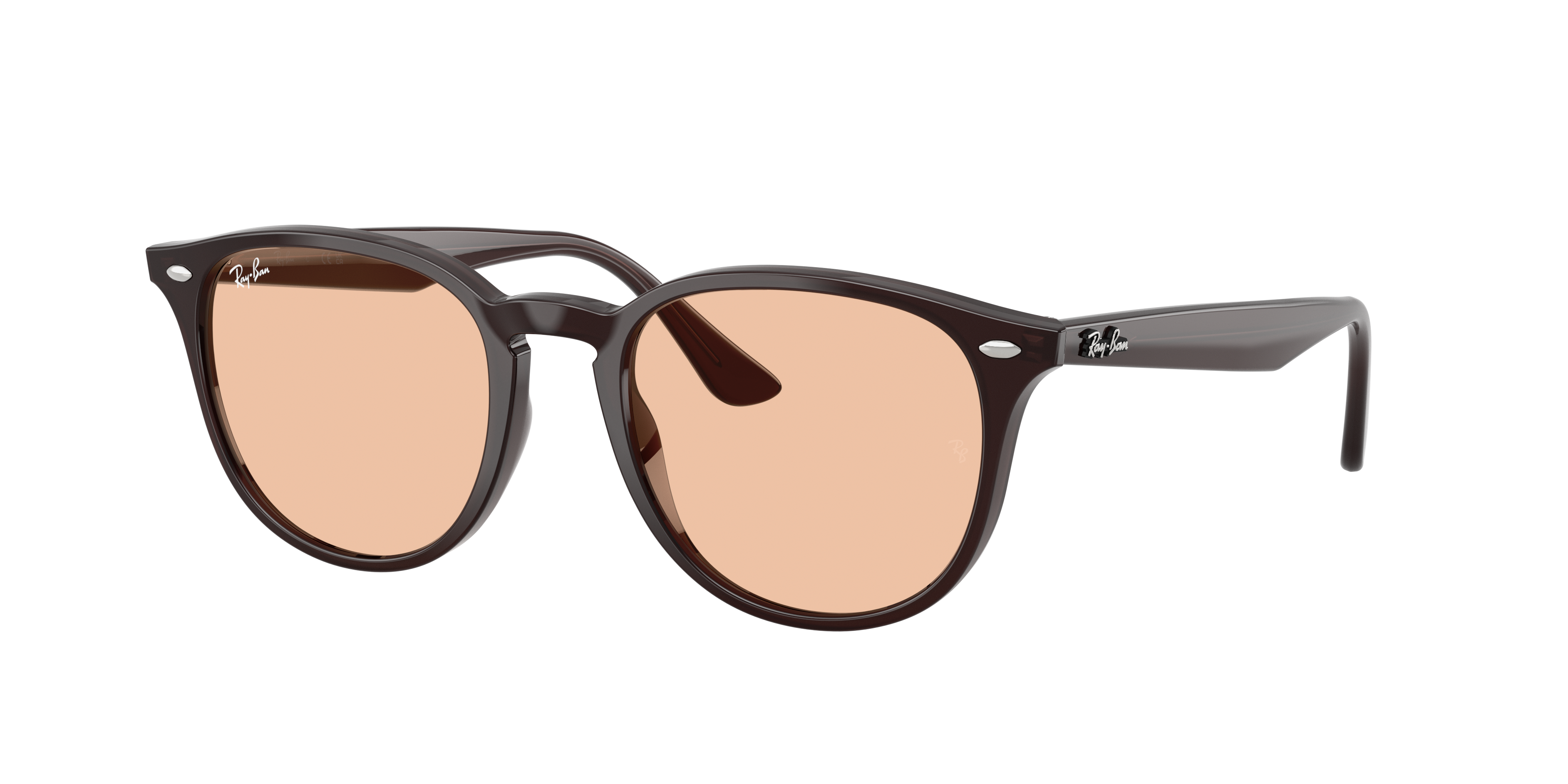 Rb4259 Sunglasses in Polished Transparent Brown and Brown - RB4259F ...