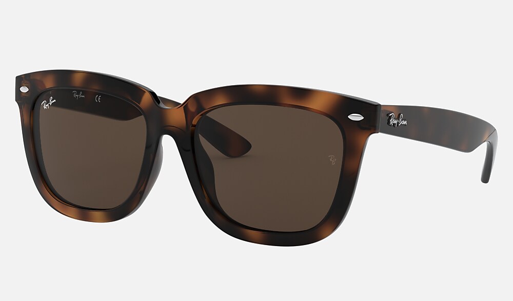 RB4262D Sunglasses in Havana and Dark Brown - Ray-Ban