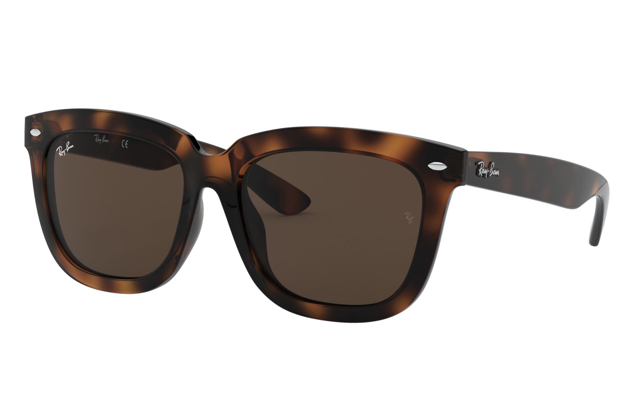 Rb4262d Sunglasses in Havana and Dark Brown - RB4262D | Ray-Ban®