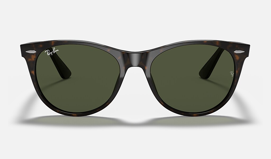 deugd Visser Pellen Wayfarer Ii Classic Sunglasses in Tortoise and Green | Ray-Ban®
