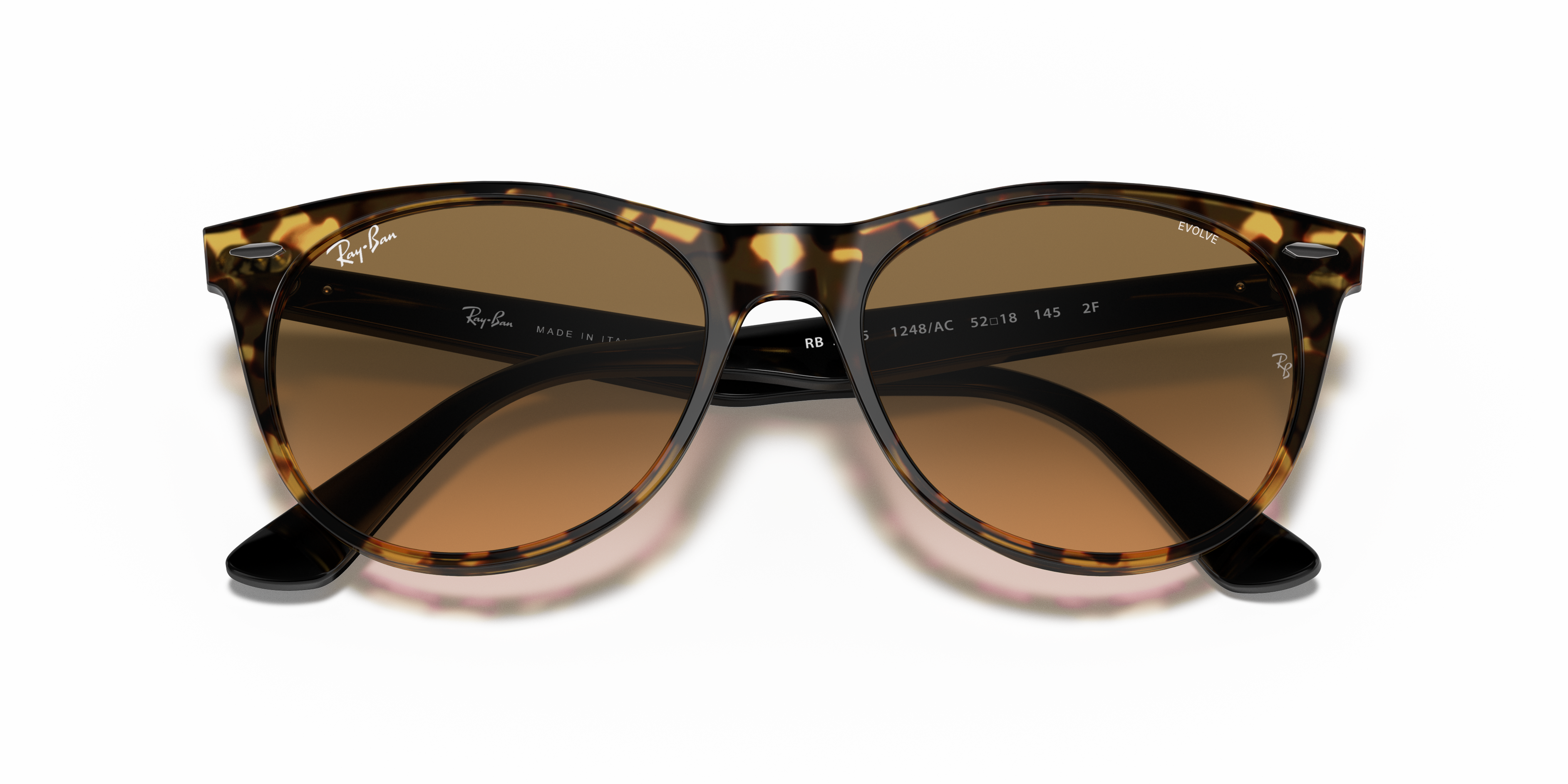 ray ban wayfarer ii evolve