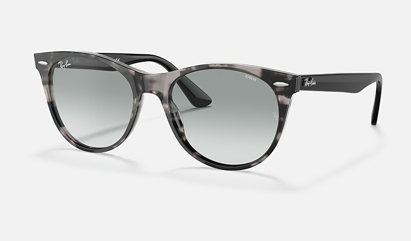 WAYFARER II WASHED EVOLVE Sunglasses in Grey Havana and Blue