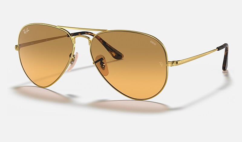 Ray ban best sale evolve lens