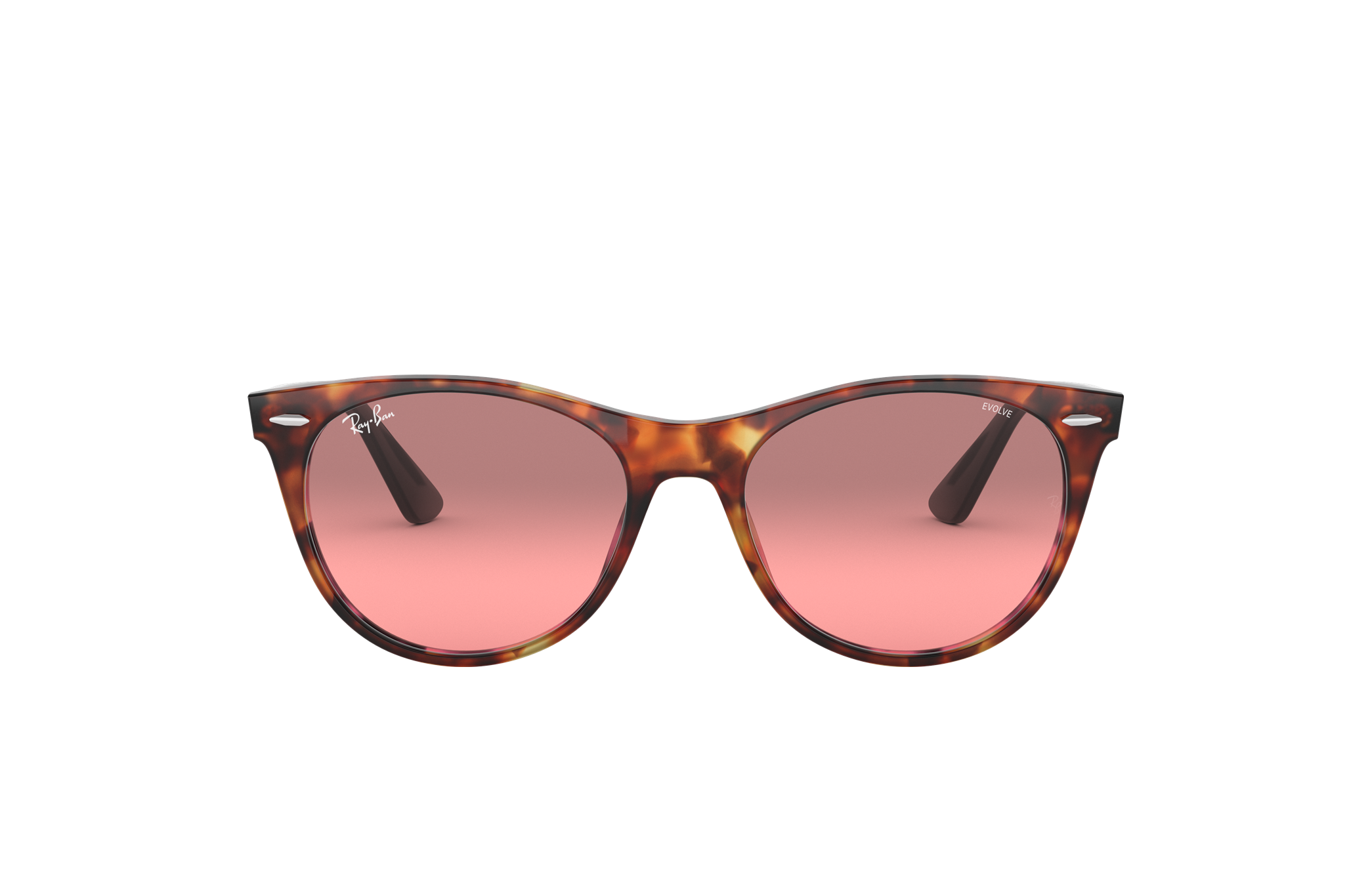 ray ban evolve vs polarized