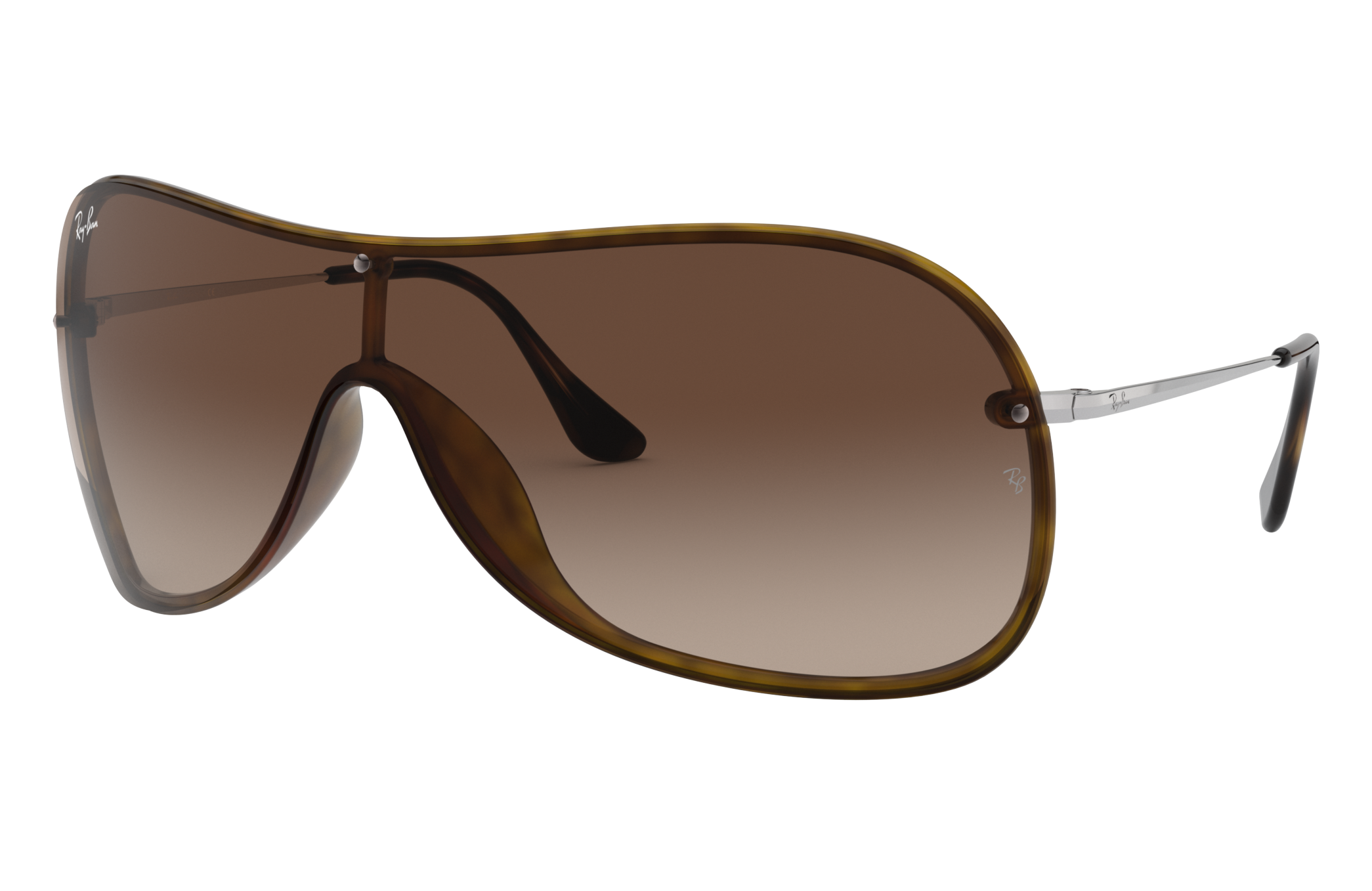 Rb4411 Sunglasses in Havana and |