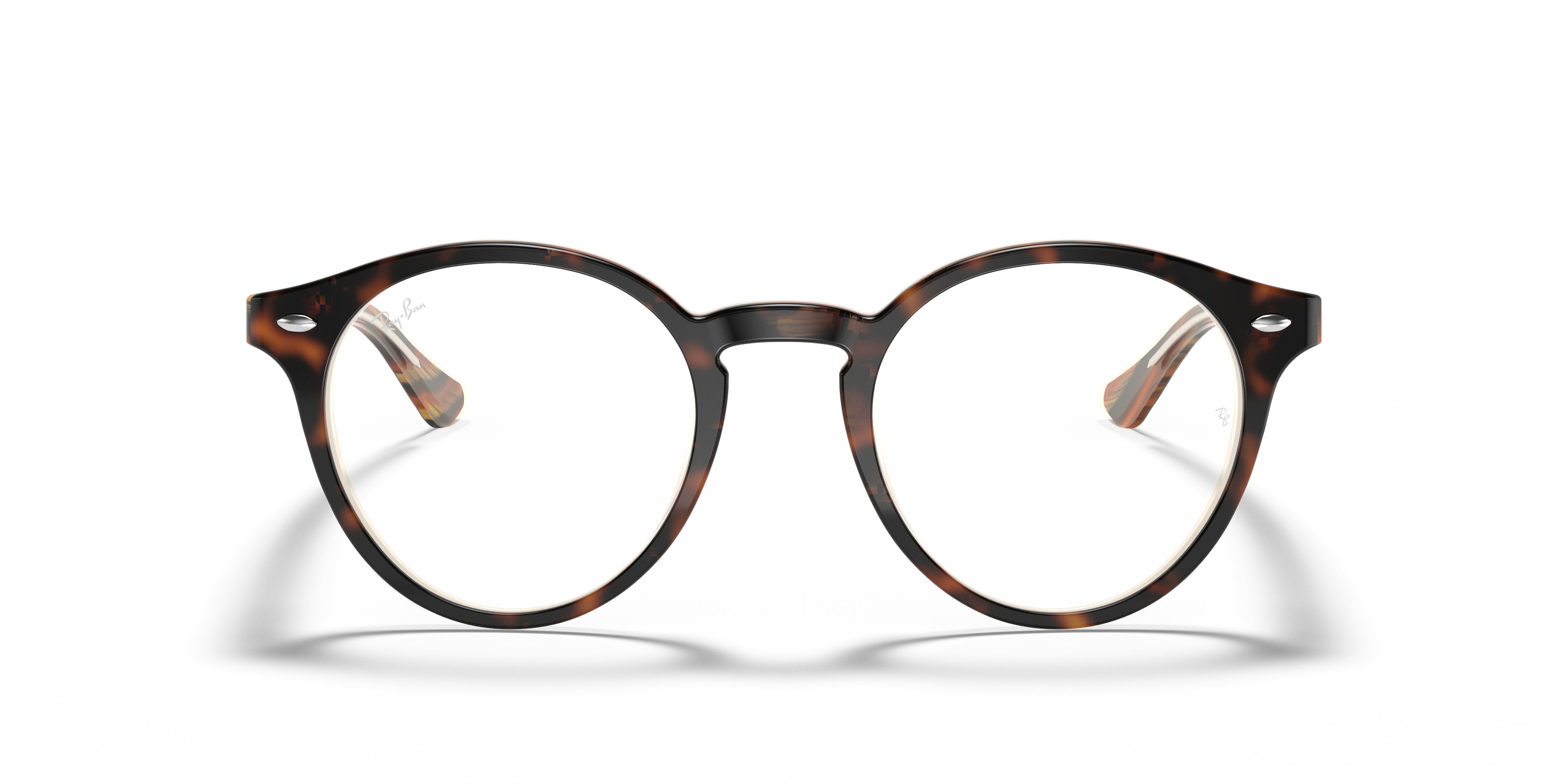 ray ban tortoise frames