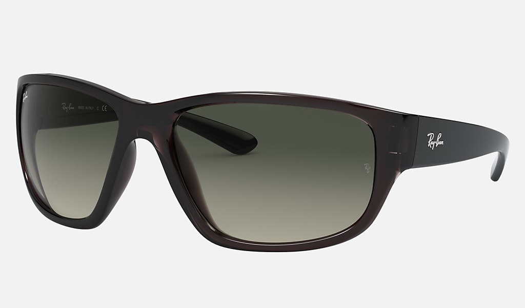 Rb4300 Sunglasses in Transparent Grey and | Ray-Ban®
