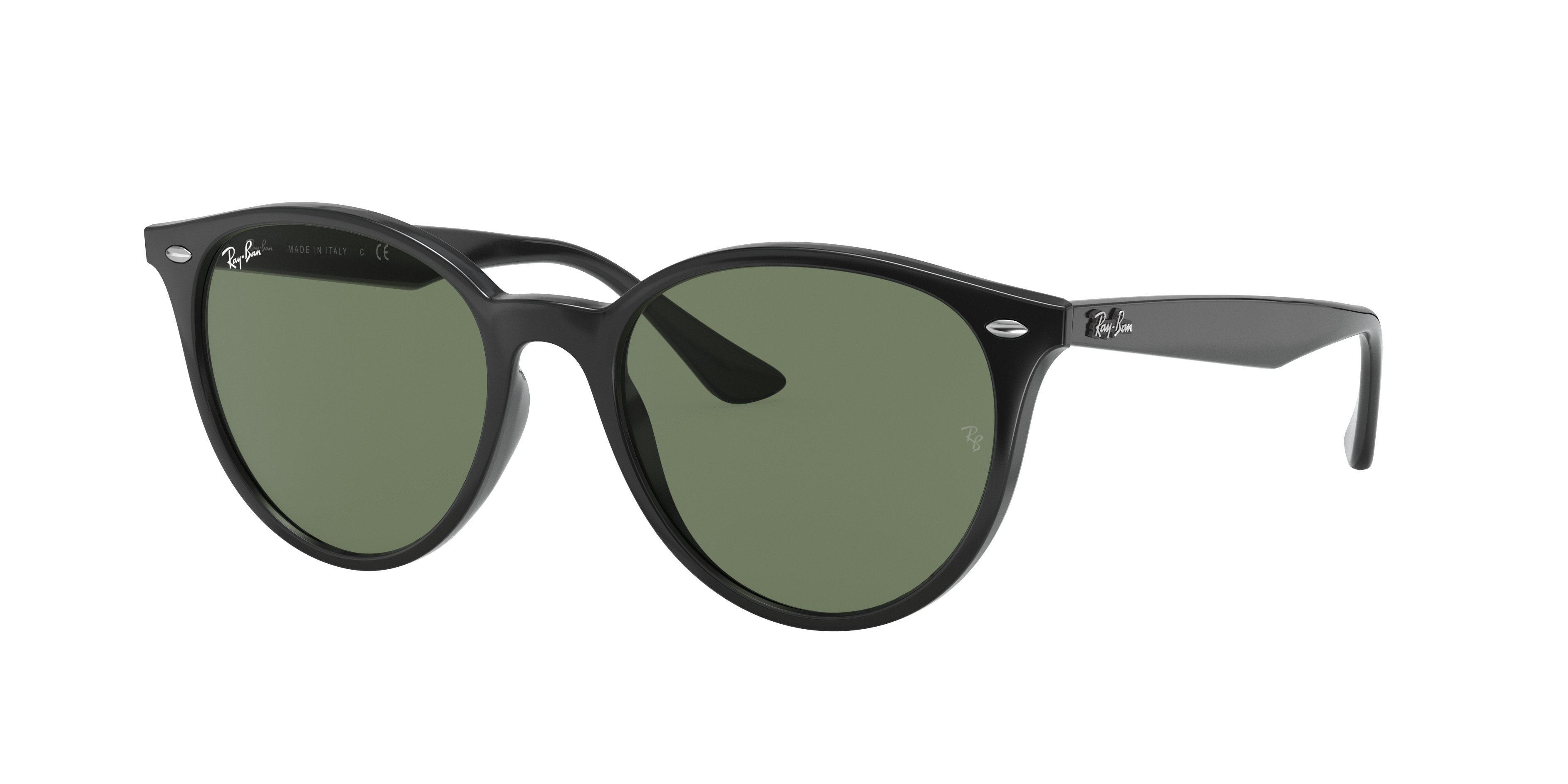 Ray-Ban レイバン RB 4305-F - サングラス