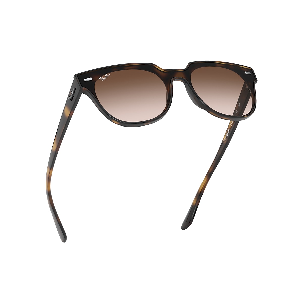 Blaze Meteor Sunglasses in Tortoise and Brown | Ray-Ban®