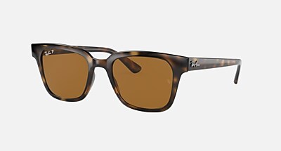 RB4325F Sunglasses in Light Havana and Polarized Brown