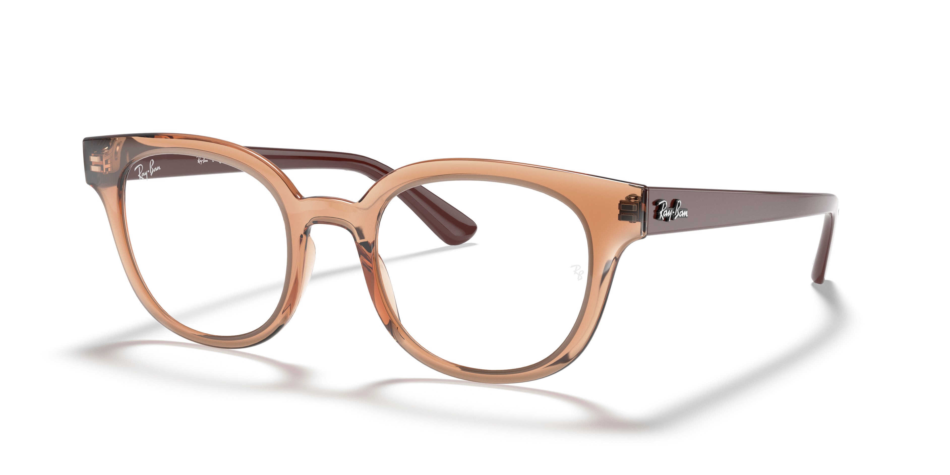 wayfarer bicolor