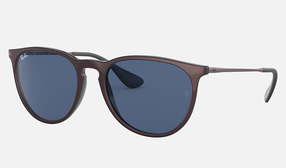 ERIKA COLOR MIX Sunglasses in Bordeaux and Dark Blue - RB4171F