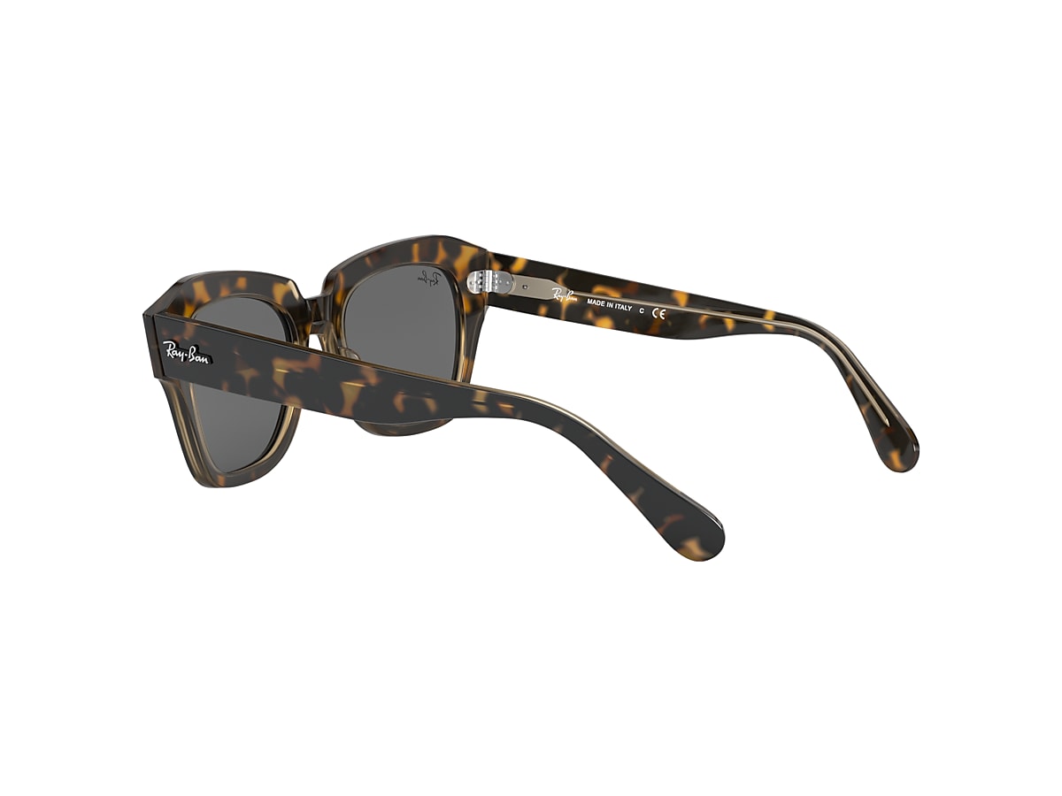 STATE STREET Sunglasses in Havana On Transparent Brown and