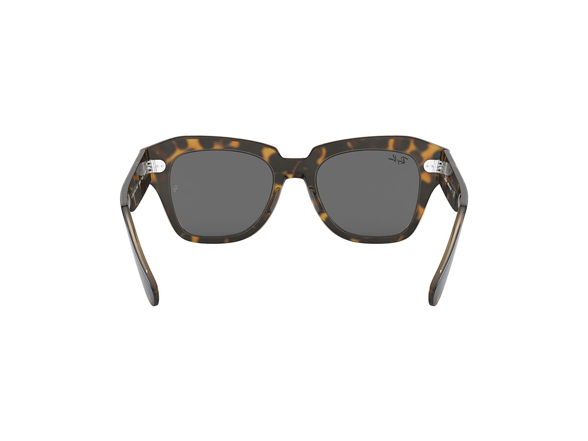 STATE STREET Sunglasses in Havana On Transparent Brown and