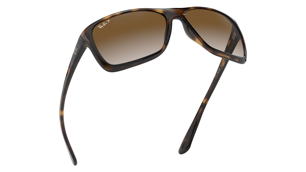 Rb4331 Sunglasses in Tortoise and Brown | Ray-Ban®
