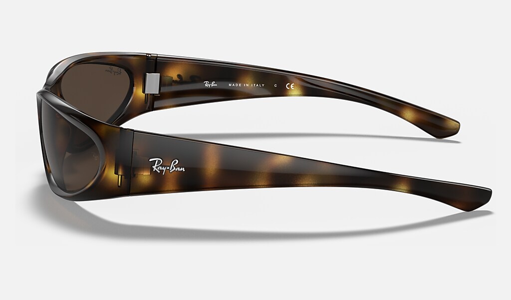 Rb4332 Sunglasses in Tortoise and Dark Brown | Ray-Ban®