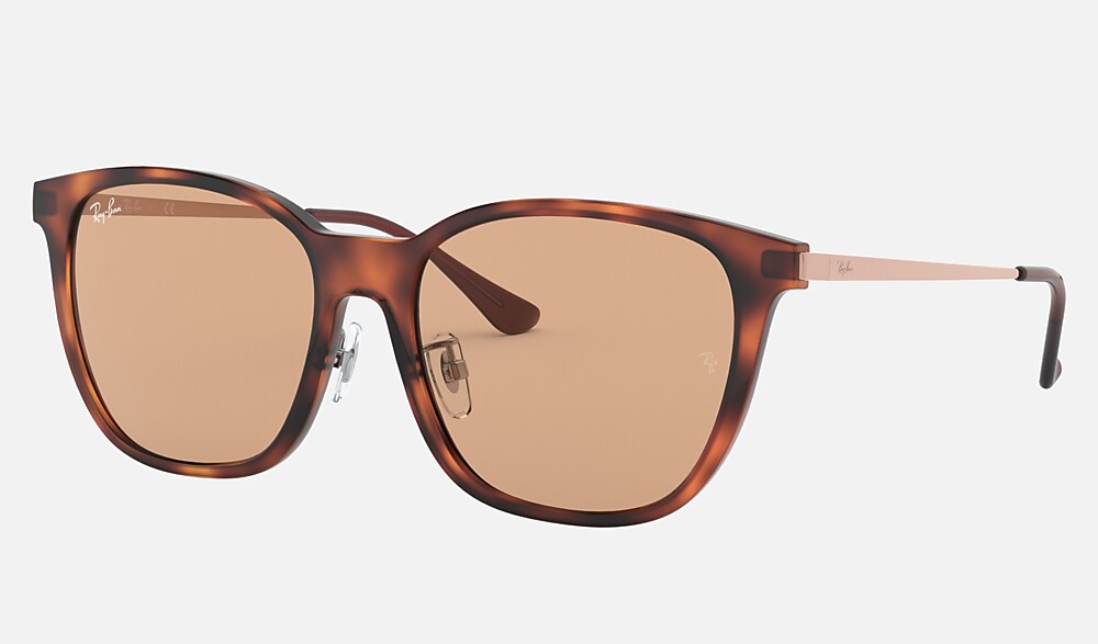 RB4333D Sunglasses in Light Brown Havana and Brown - RB4333D | Ray 
