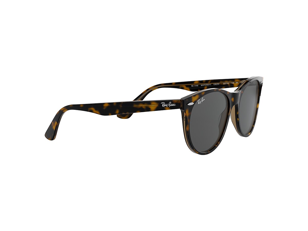 WAYFARER II CLASSIC Sunglasses in Havana On Transparent Brown and