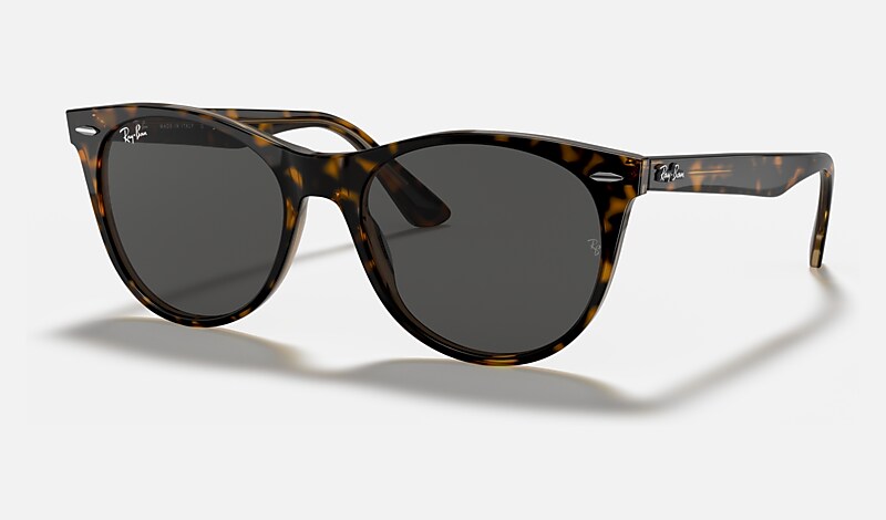 WAYFARER II CLASSIC Sunglasses in Havana On Transparent Brown and