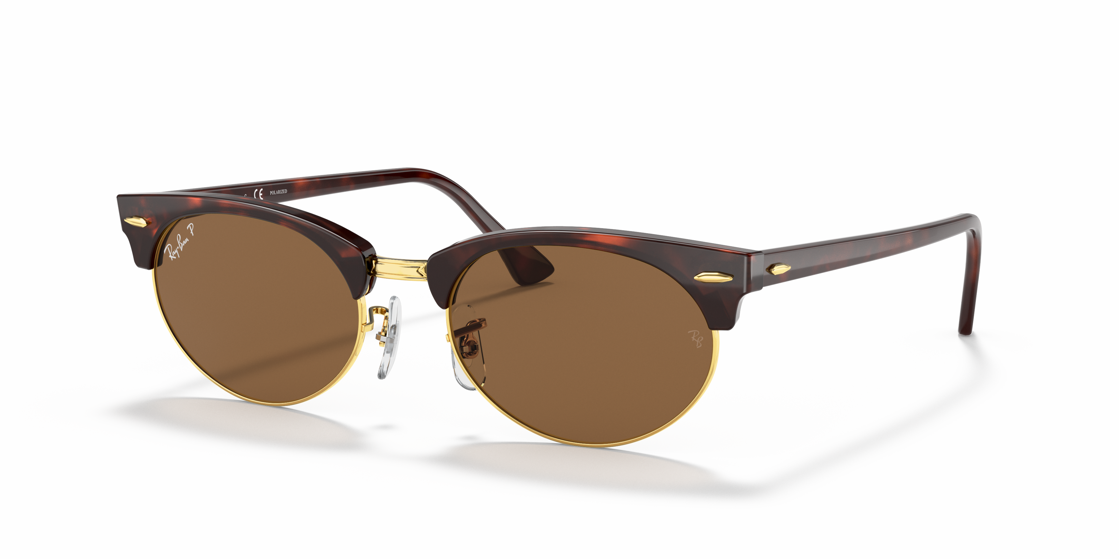 tortoise raybans