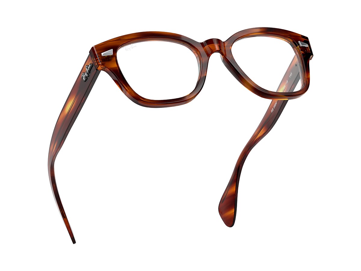 Ray ban hot sale havana eyeglasses