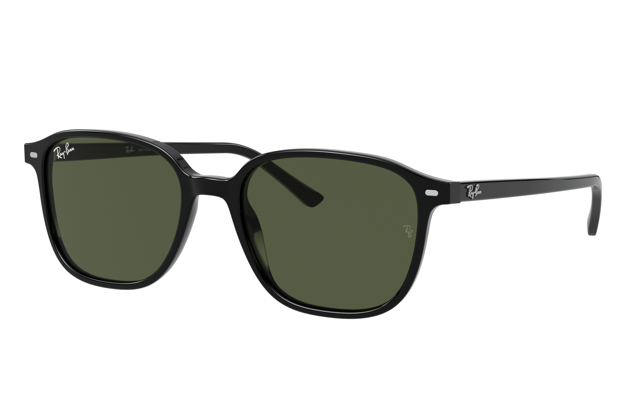 leonard ray ban sunglasses