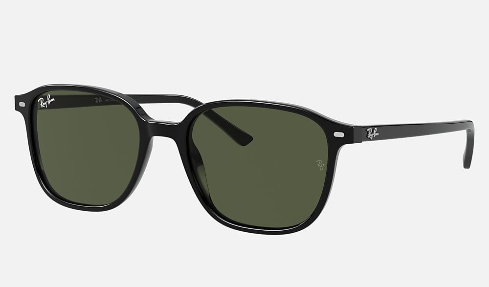 LEONARD Sunglasses in Black and G-15 Green - RB2193 | Ray-Ban®