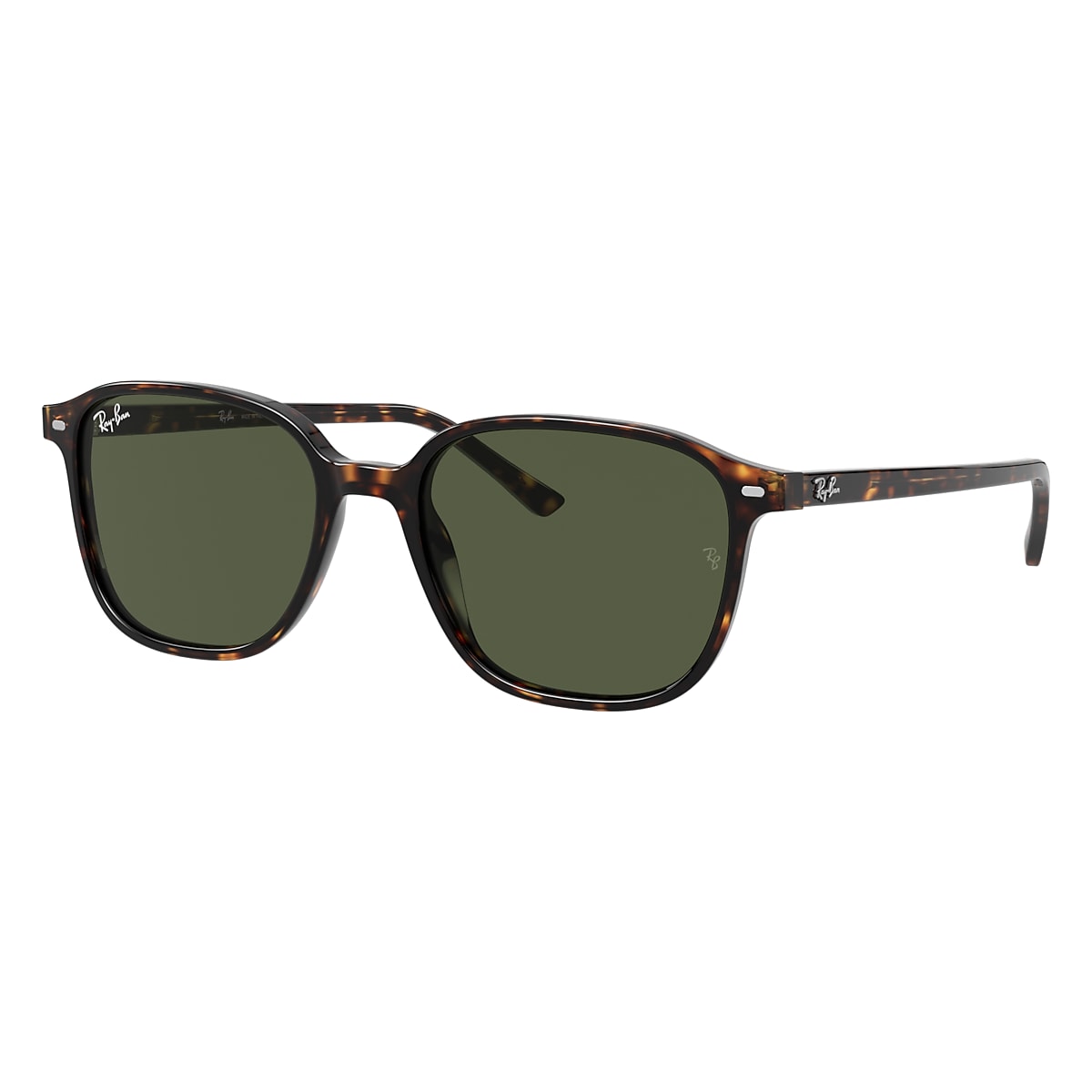 LEONARD Sunglasses in Tortoise and Green - RB2193 | Ray-Ban 