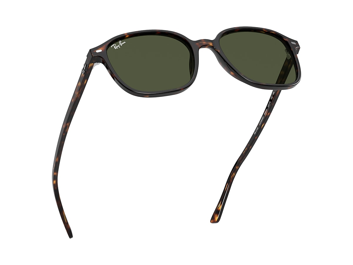 LEONARD Sunglasses in Tortoise and G-15 Green - RB2193 | Ray-Ban® US