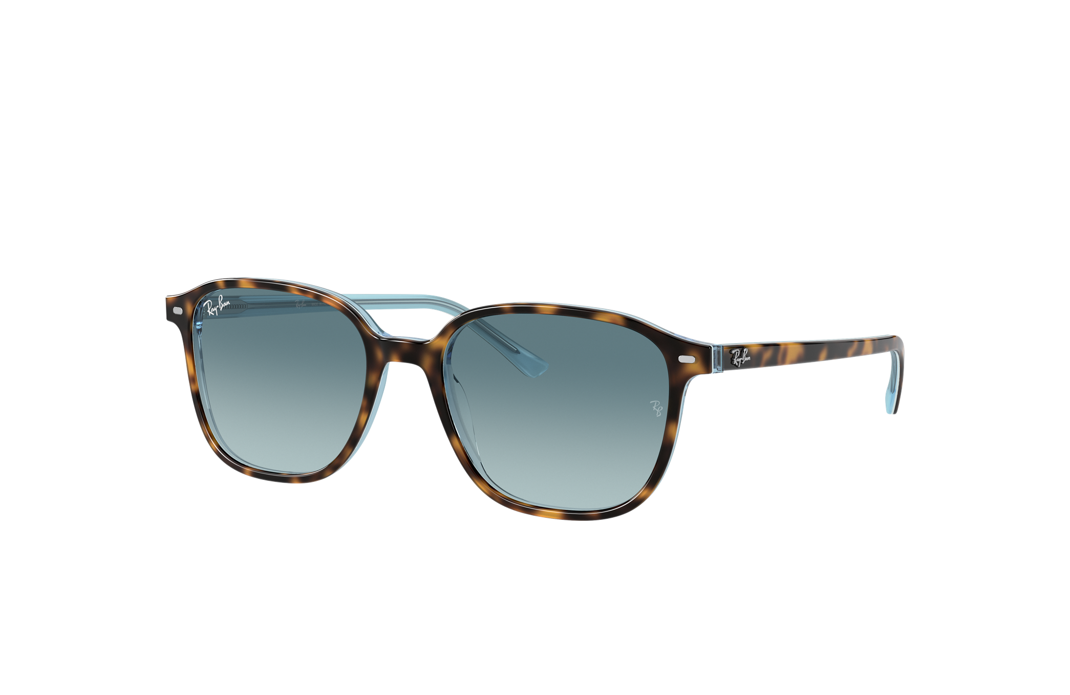 leonard ray ban