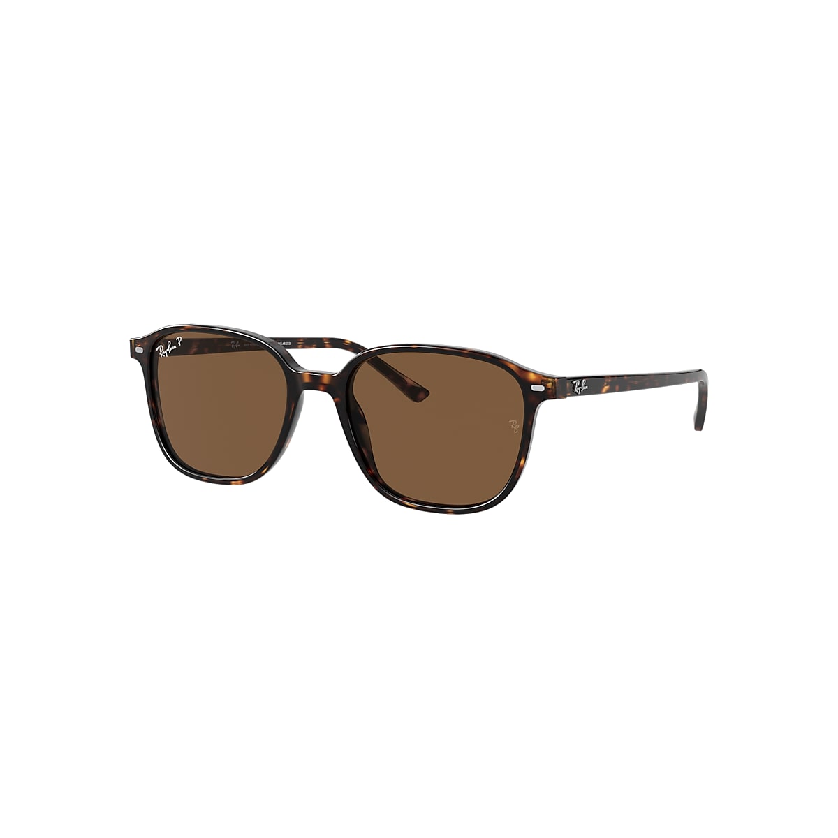 LEONARD Sunglasses in Tortoise and Brown - RB2193 | Ray-Ban 