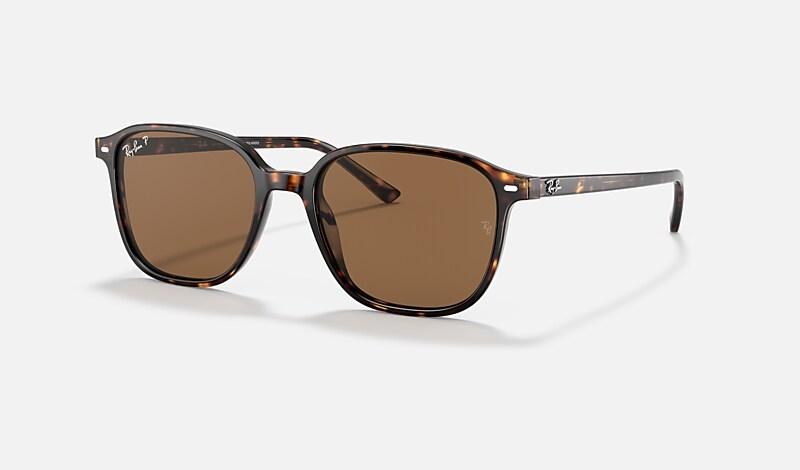 LEONARD Sunglasses in Tortoise and Brown - RB2193 | Ray-Ban® US