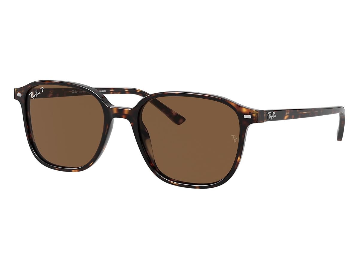 LEONARD Sunglasses in Tortoise and Brown - RB2193 | Ray-Ban 