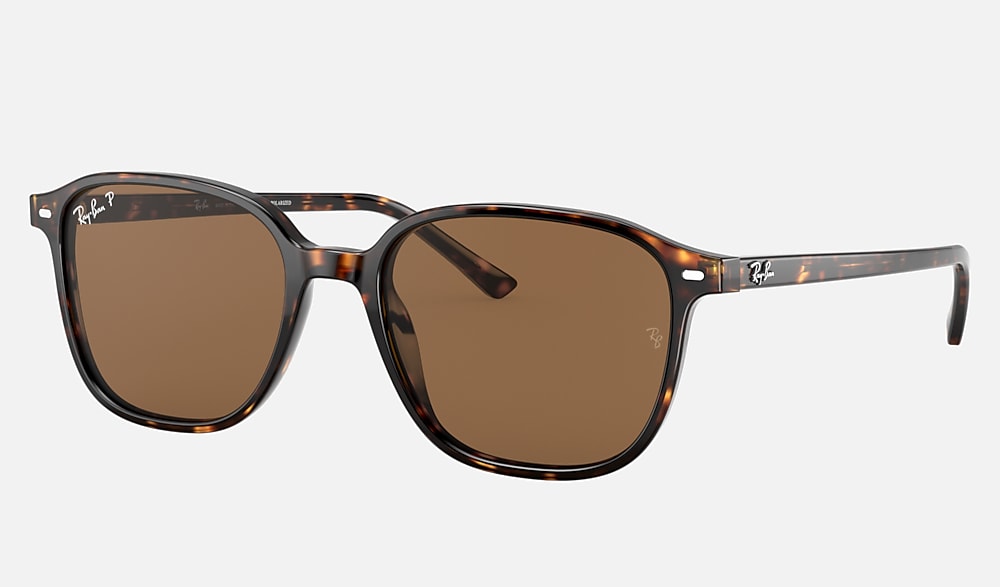 LEONARD Sunglasses in Tortoise and Brown - RB2193 | Ray-Ban®