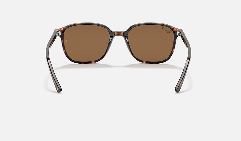 Leonard Sunglasses in Tortoise and Brown - RB2193 | Ray-Ban® US