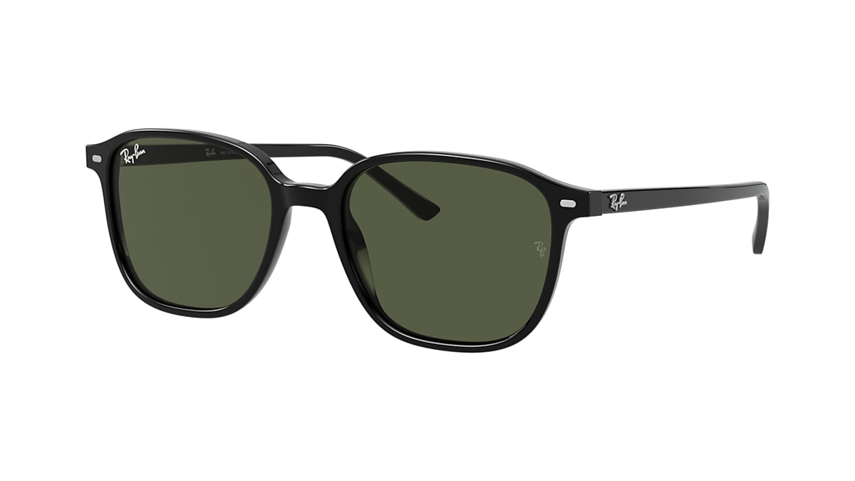 【レイバン公式ストア】 Ray-Ban® LEONARD サングラス - RB2193F