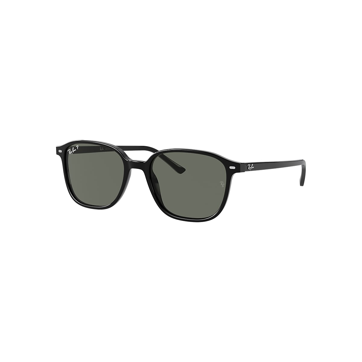 【レイバン公式ストア】 Ray-Ban® LEONARD サングラス - RB2193F