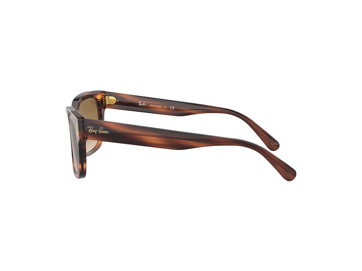 JEFFREY Sunglasses in Striped Havana and Brown - RB2190 | Ray-Ban® US