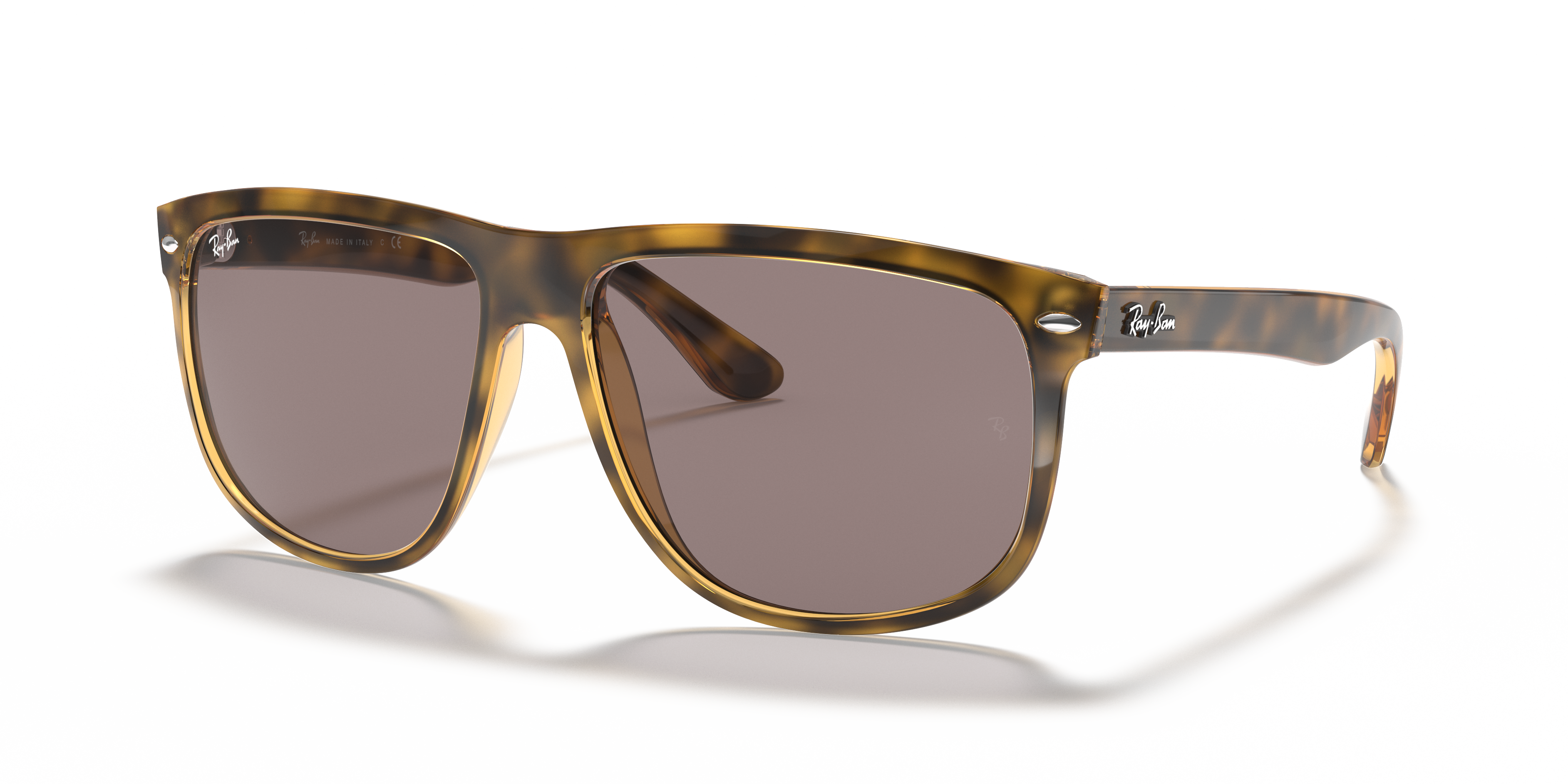 rb4147 polarized tortoise