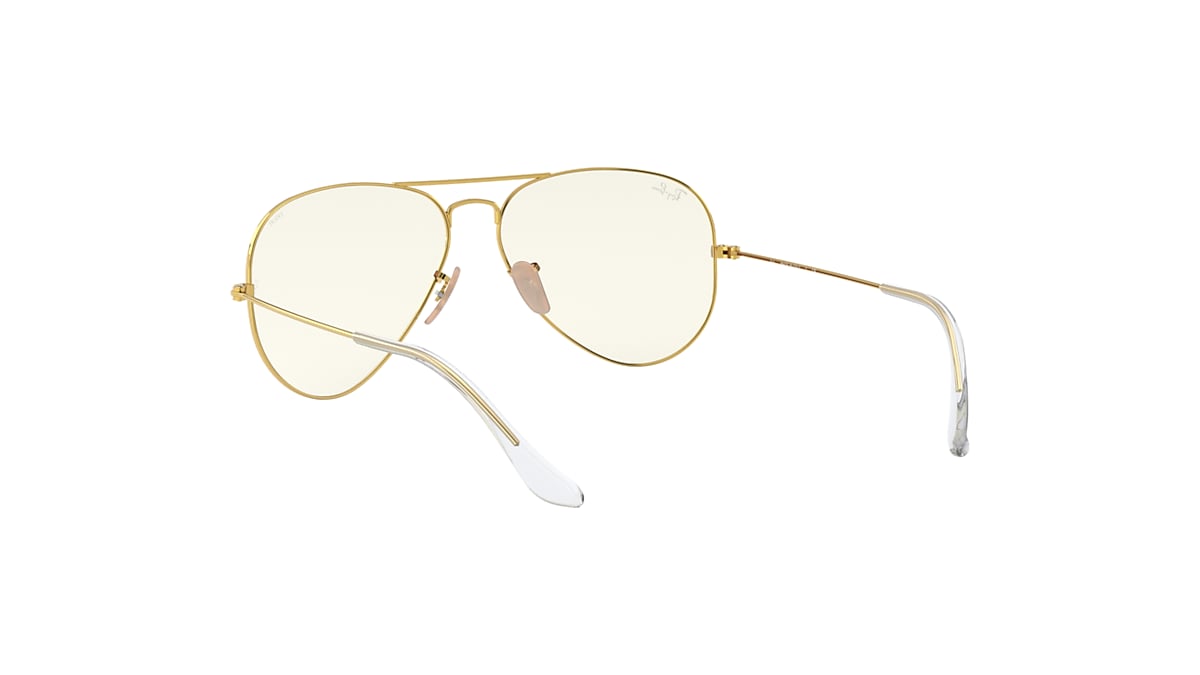 Aviator evolve ray sales ban